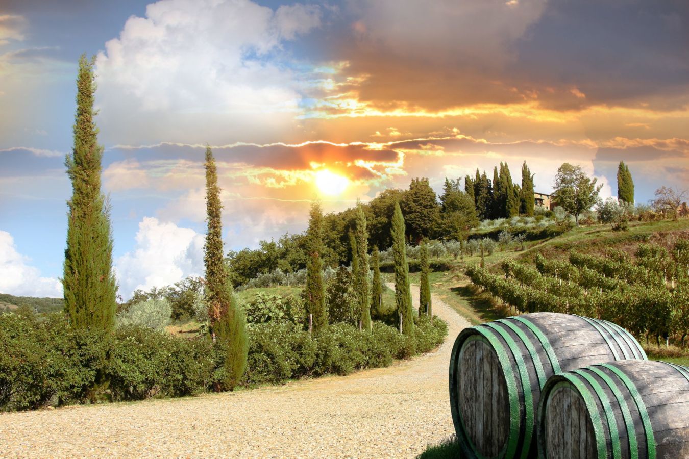 colline toscana
