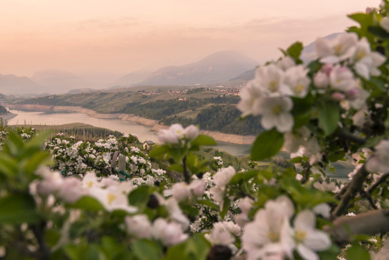 val di non