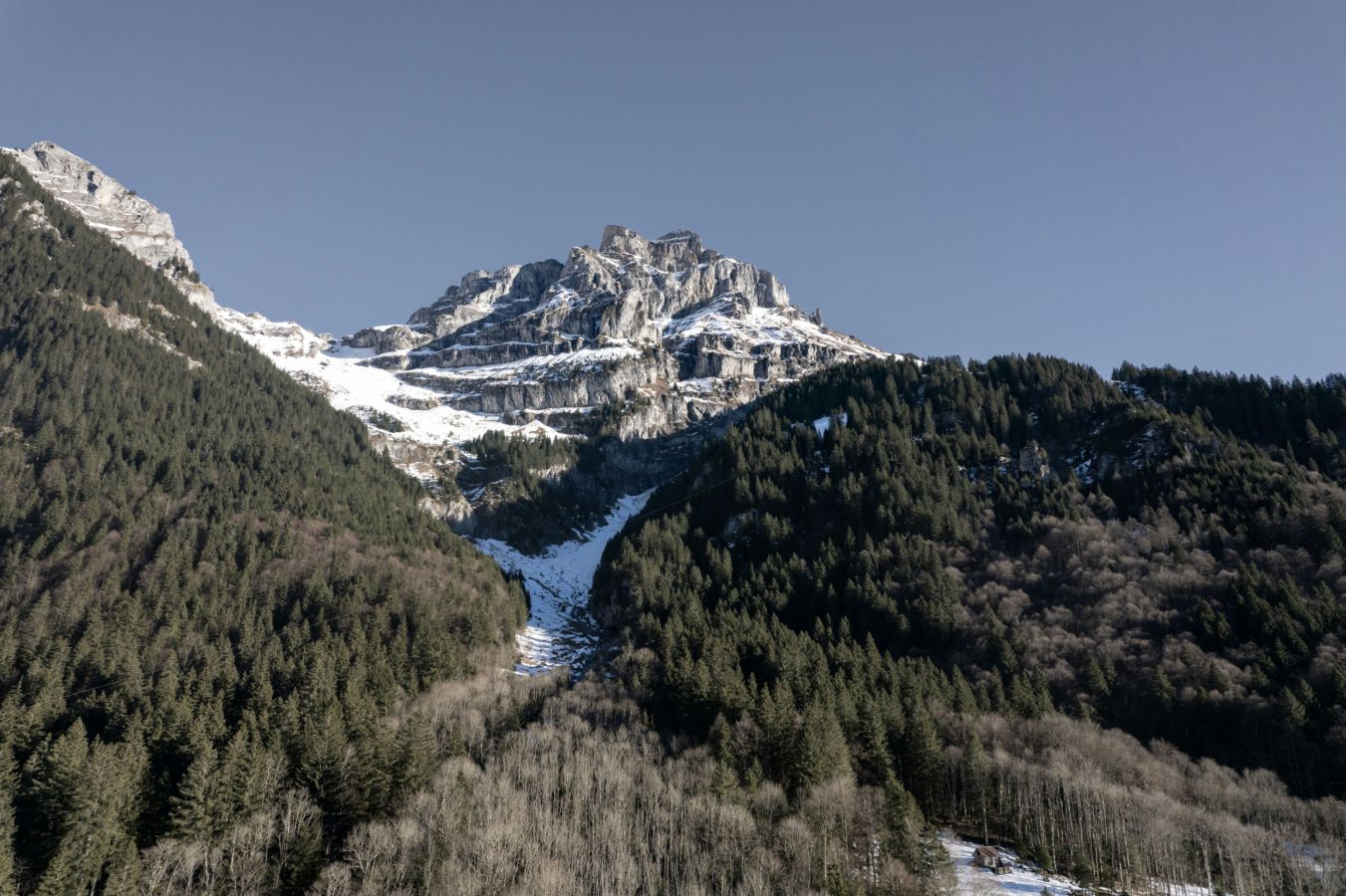 patrick-federi-ps-m8ncbq-q-unsplash