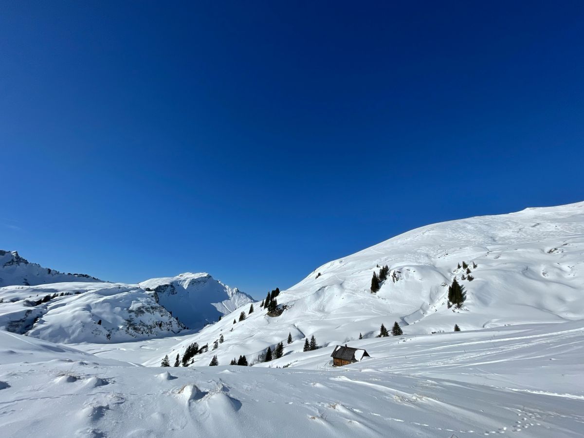 bernd-dittrich-aumt1ey6st8-unsplash