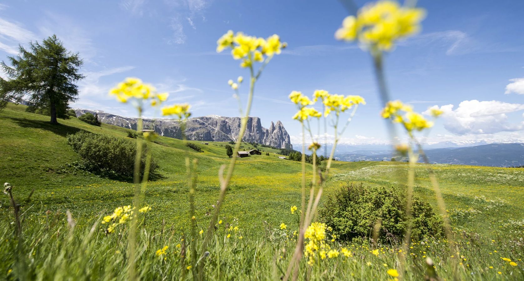 seiser-alm-marketing_helmuth-rier-1-2048x1100