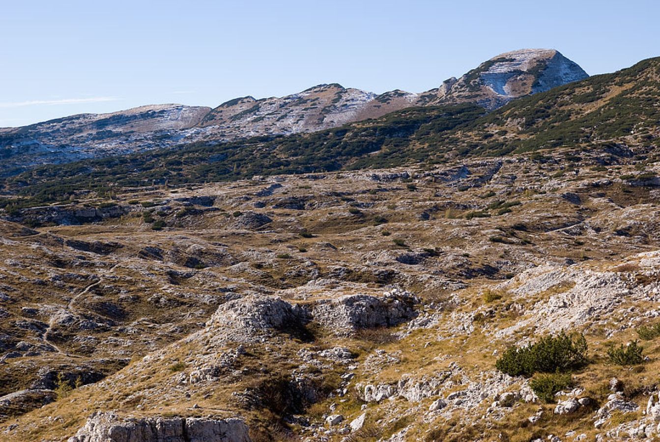 cimaxii