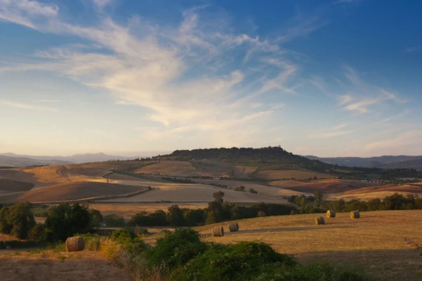 campi-di-grano-saturnia-maremma