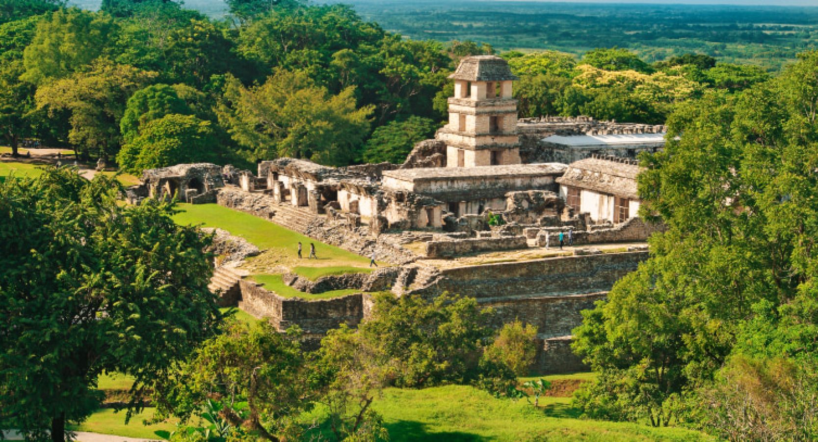 head_ss_palenque_151982564_apf0fe