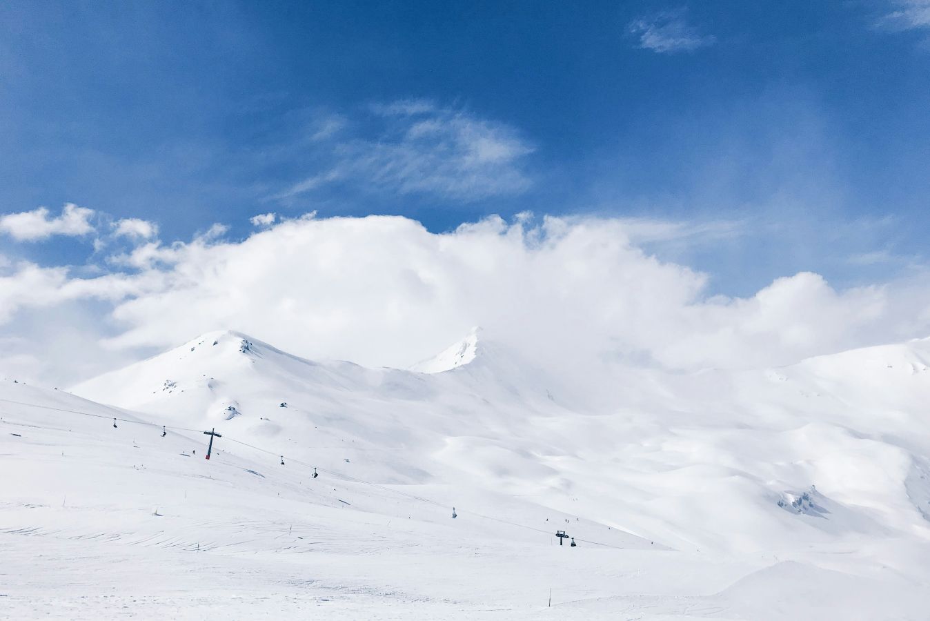 max-kukurudziak-8puic6ib3sq-unsplash