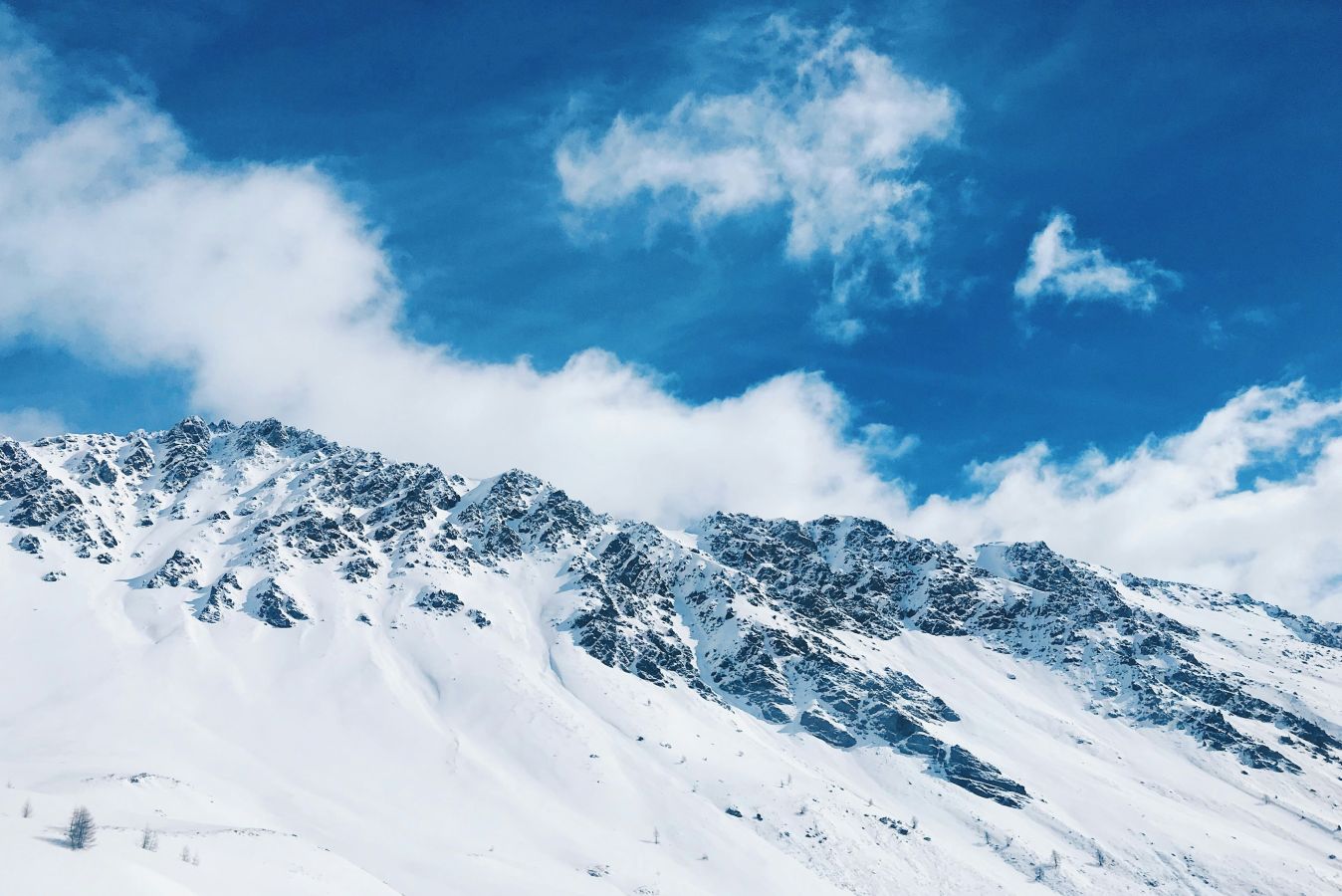 max-kukurudziak-y31p9vpnigk-unsplash