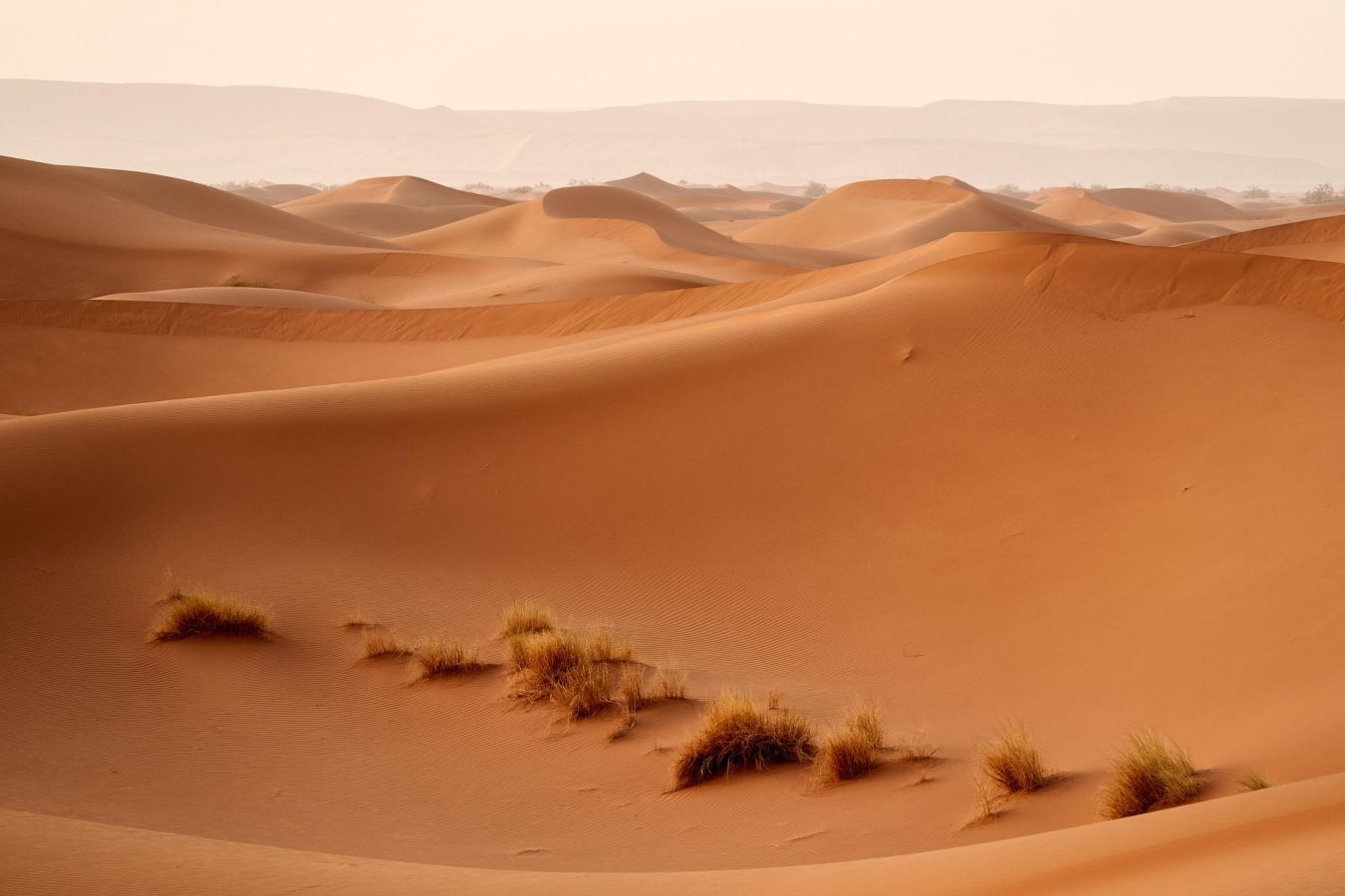 desert-6223778_1920