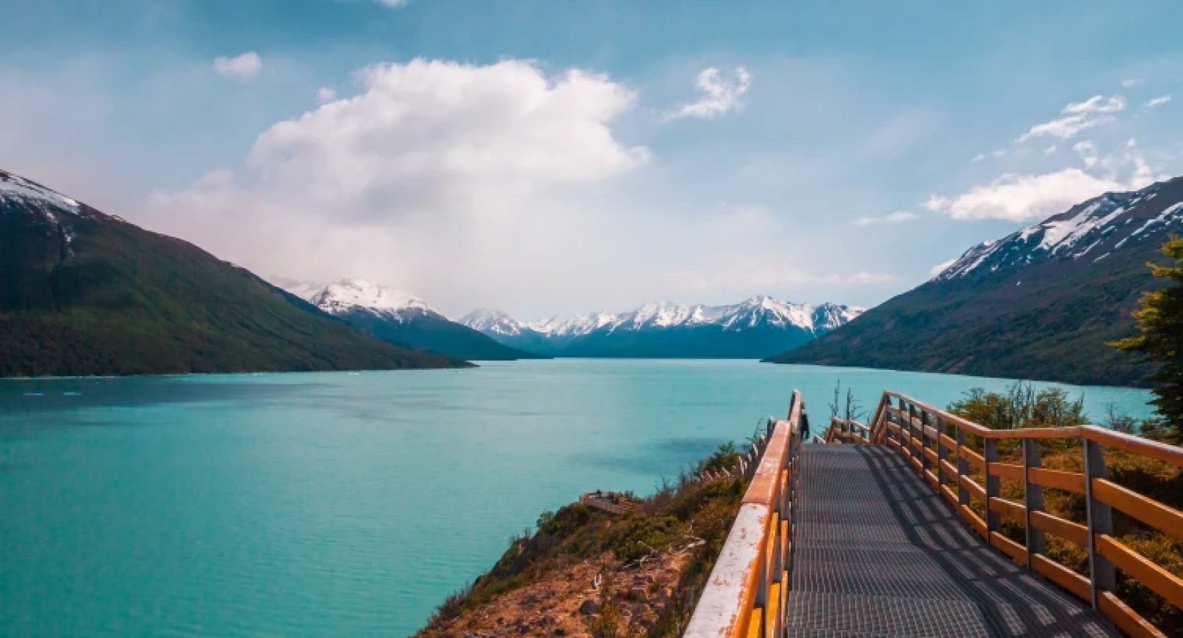 9aa_ss_lago_argentino_574833526_pafnhm