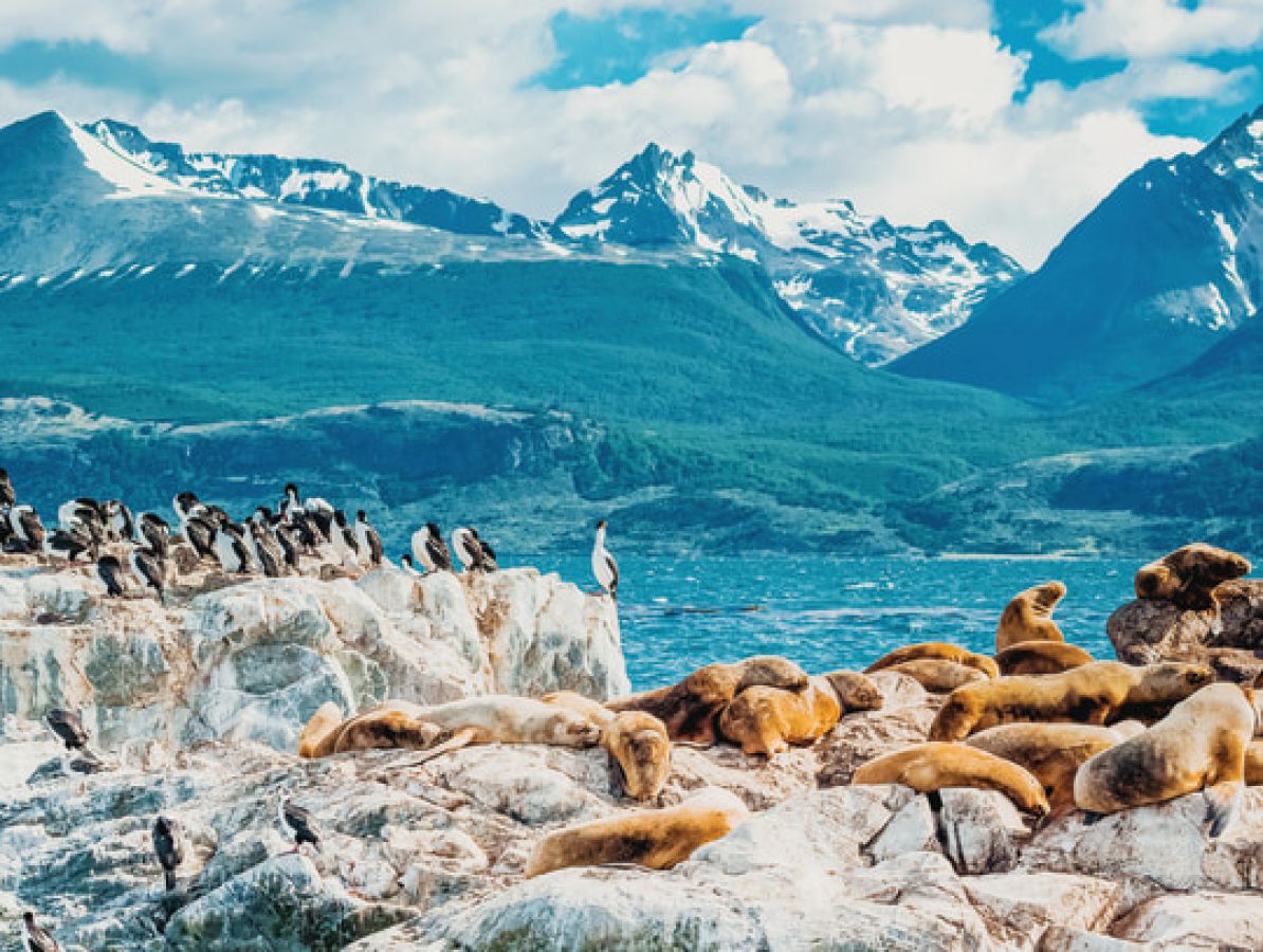 as-argentina_ushuaia_canale_di_beagle-268403515_xxm319
