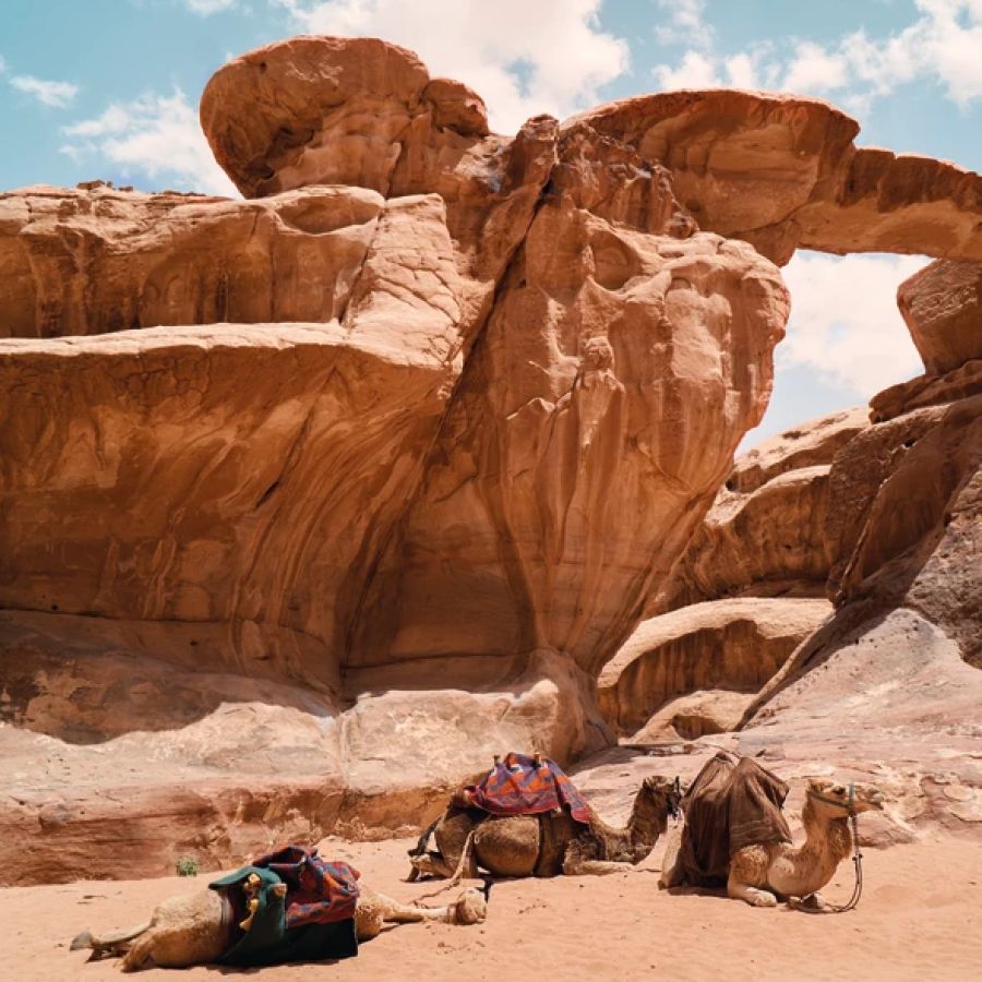 gy_cammelli_arco_di_burdah_wadi_rum_giordania_1027354830_fgxn0z