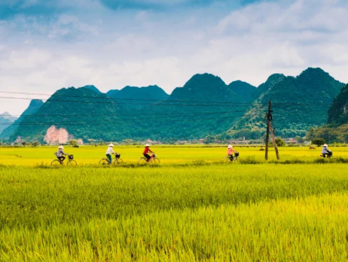 9cb_ss_campagne_hanoi_156811934_lycfw3
