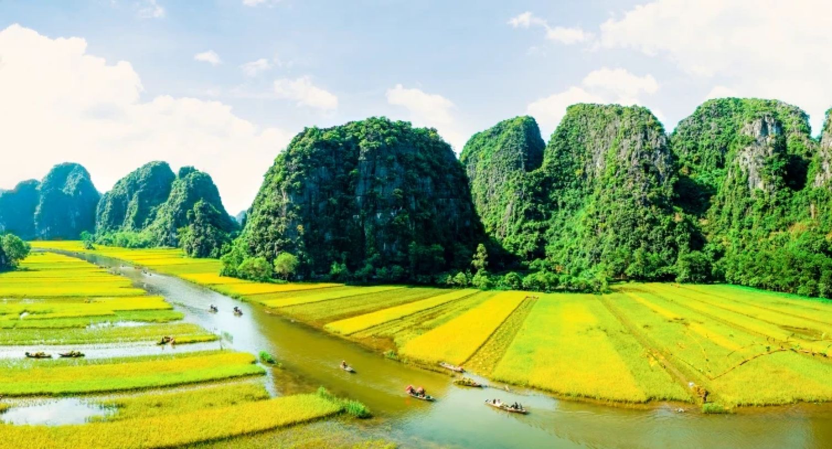 10aa_ss_risaie_ninh_binh_362120093_ikvxqg