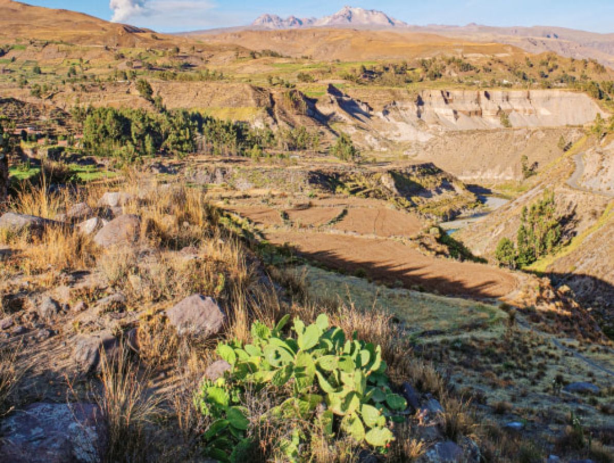 4cb_ss_canyon_colca_vulcano_sabancaya_2476110425_stmri1
