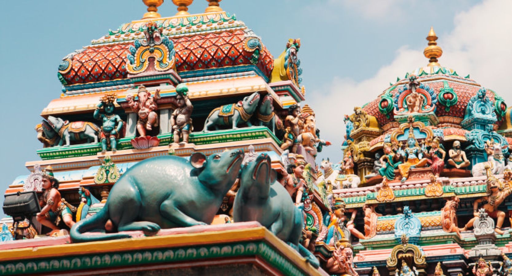 2aa_ss_kapaleeshwarar-temple_chennai_126029948_s8o9s9