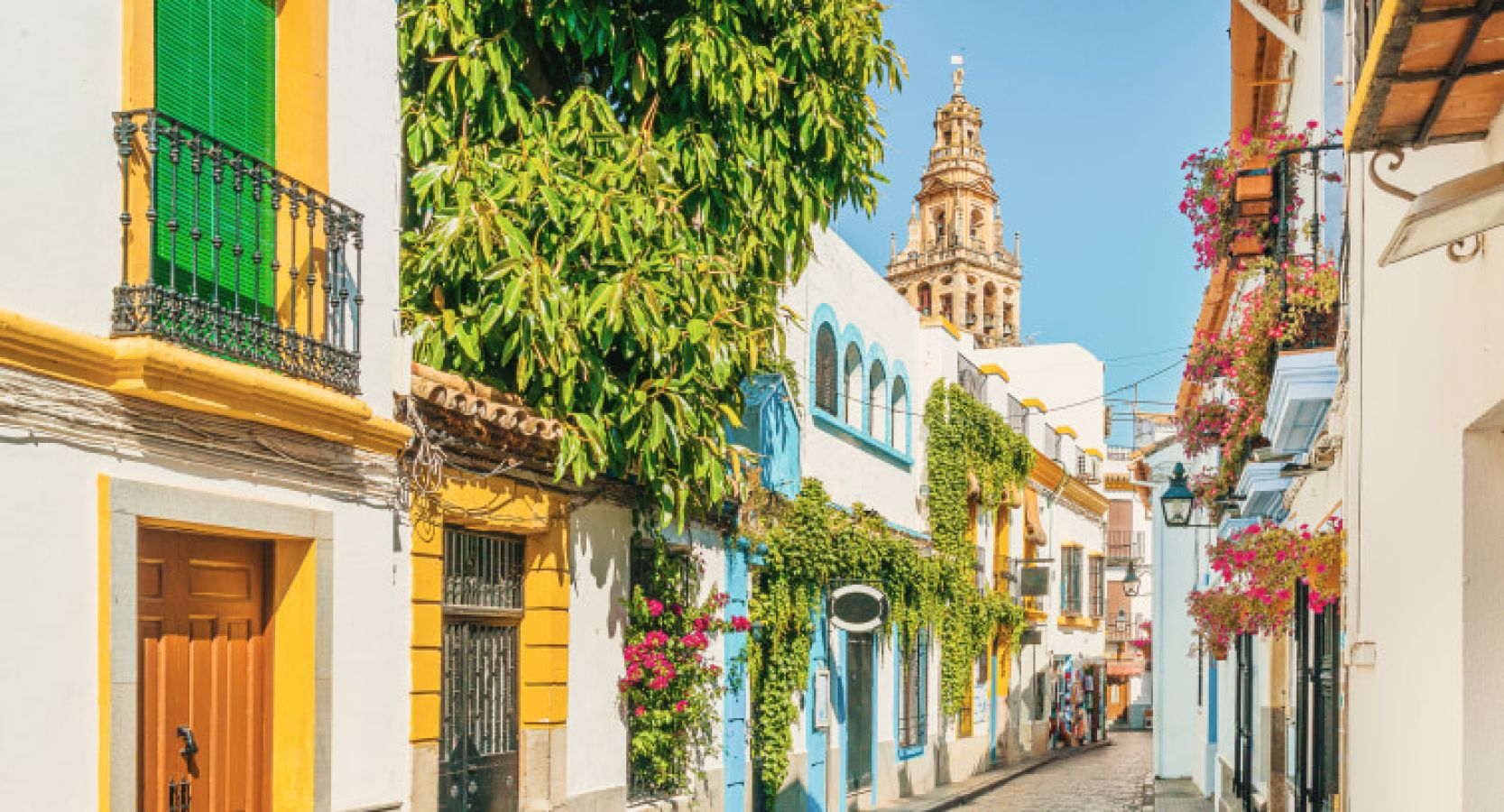 2_gy_cordoba_1176630192_a71723