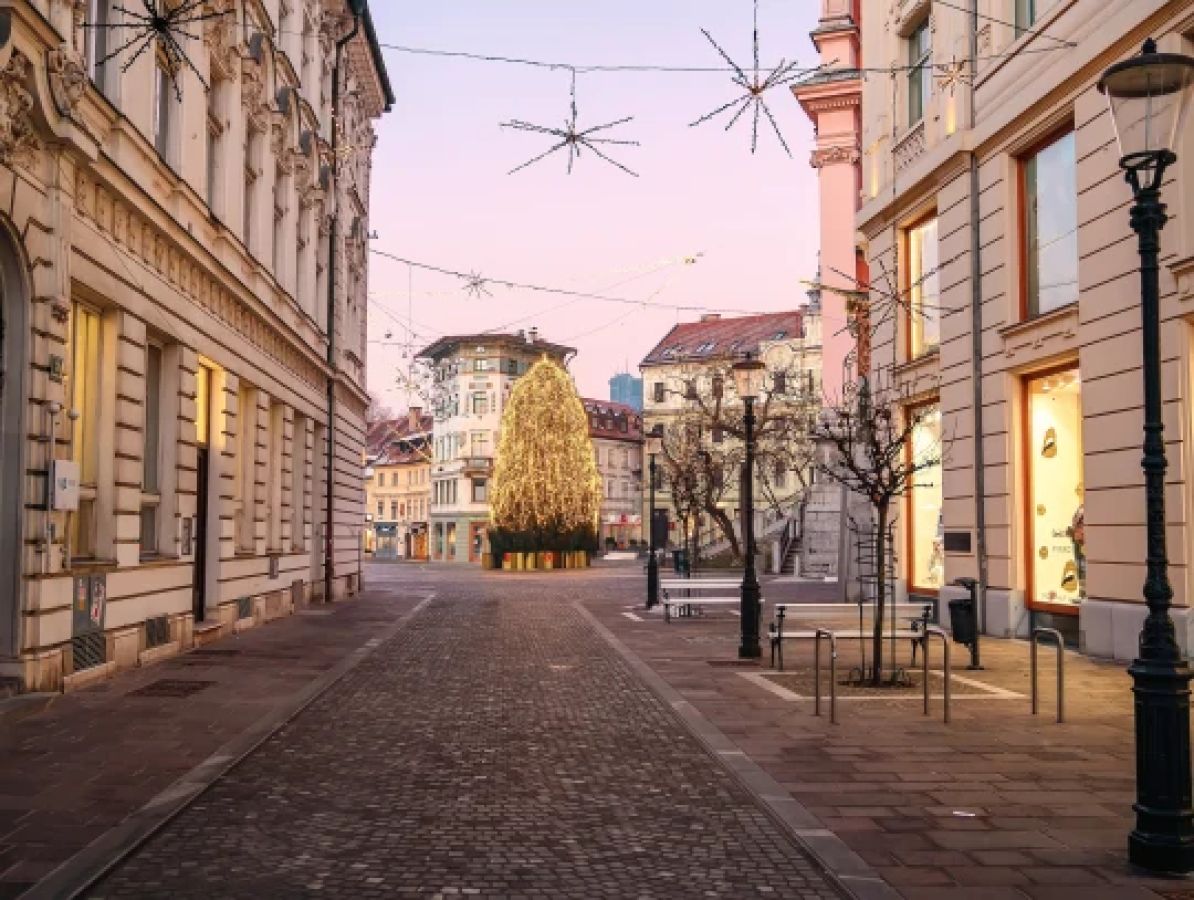 ss_lubiana_2259539413_d2nmrr