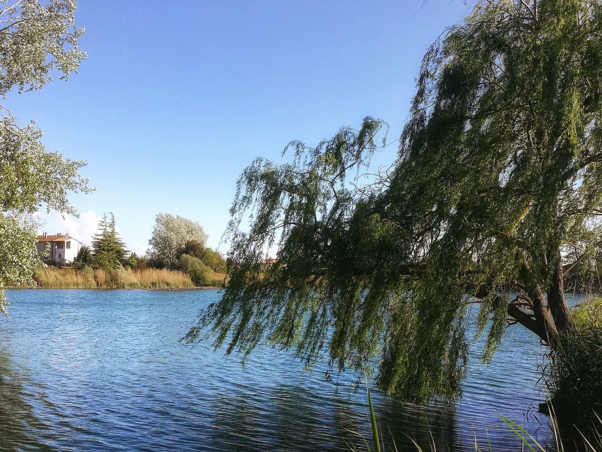 2877px-parco_sorrico_lago_cavo
