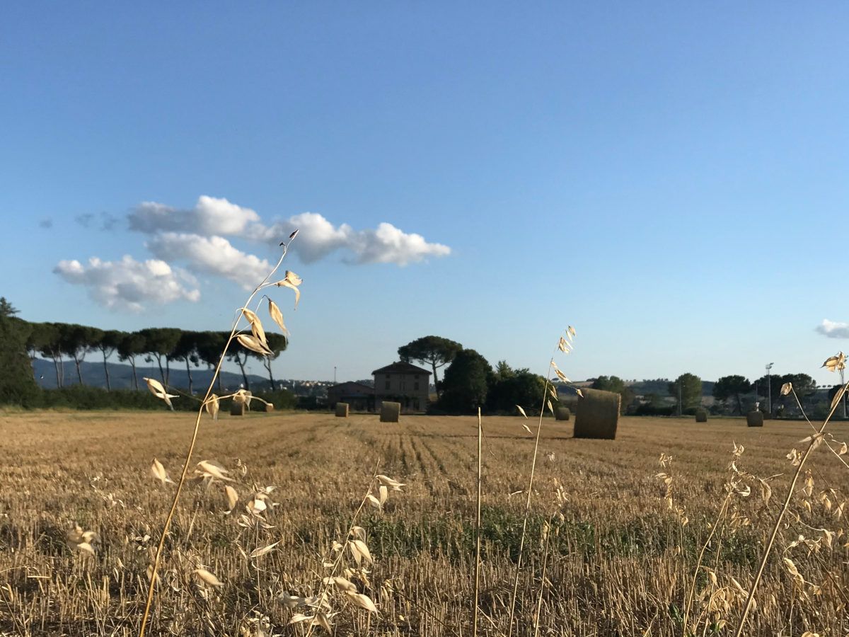 locanda_fieno_12001