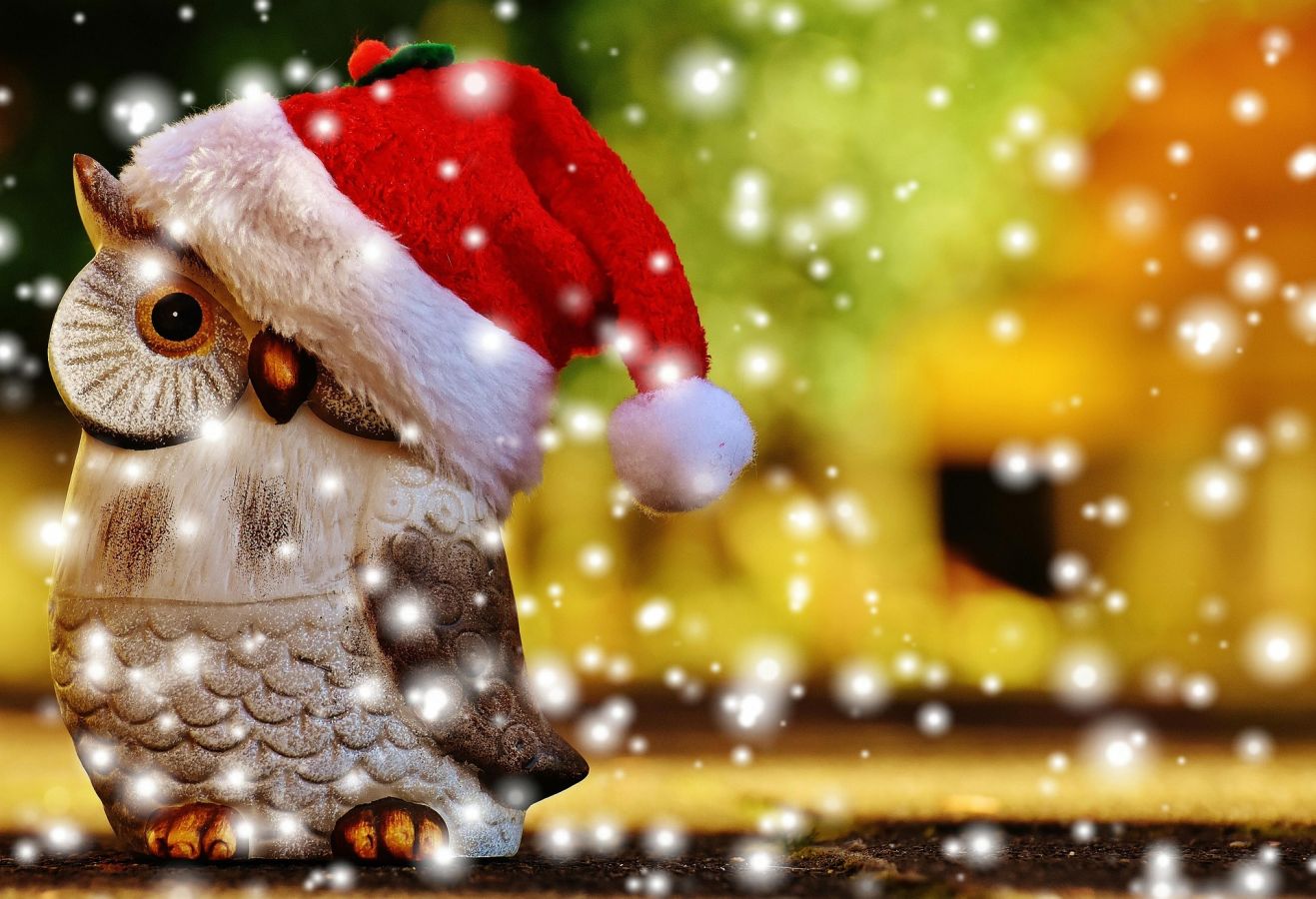 alexas_fotos-christmas-1906639_1920