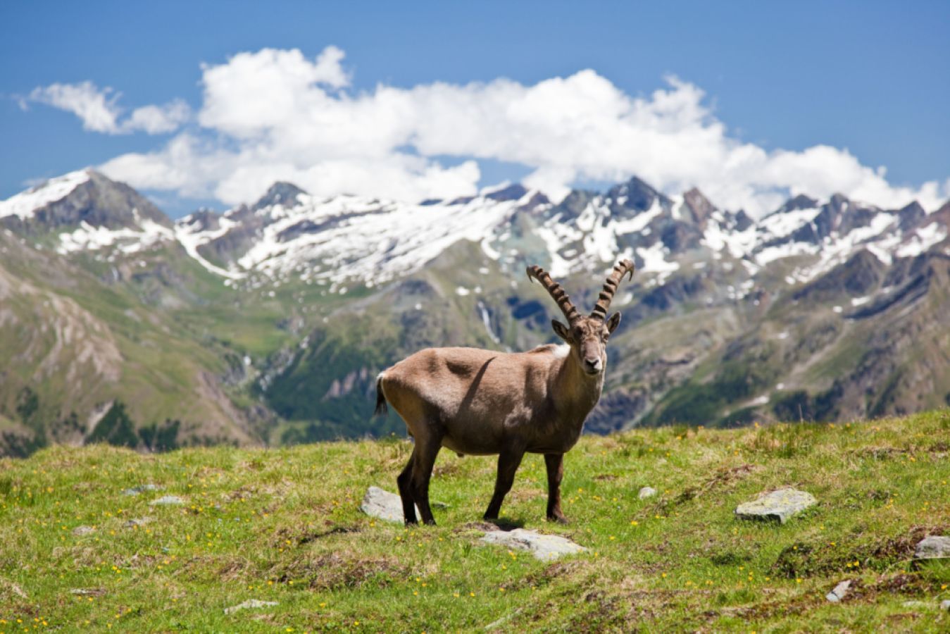 Il Parco Nazionale del Gran Paradiso