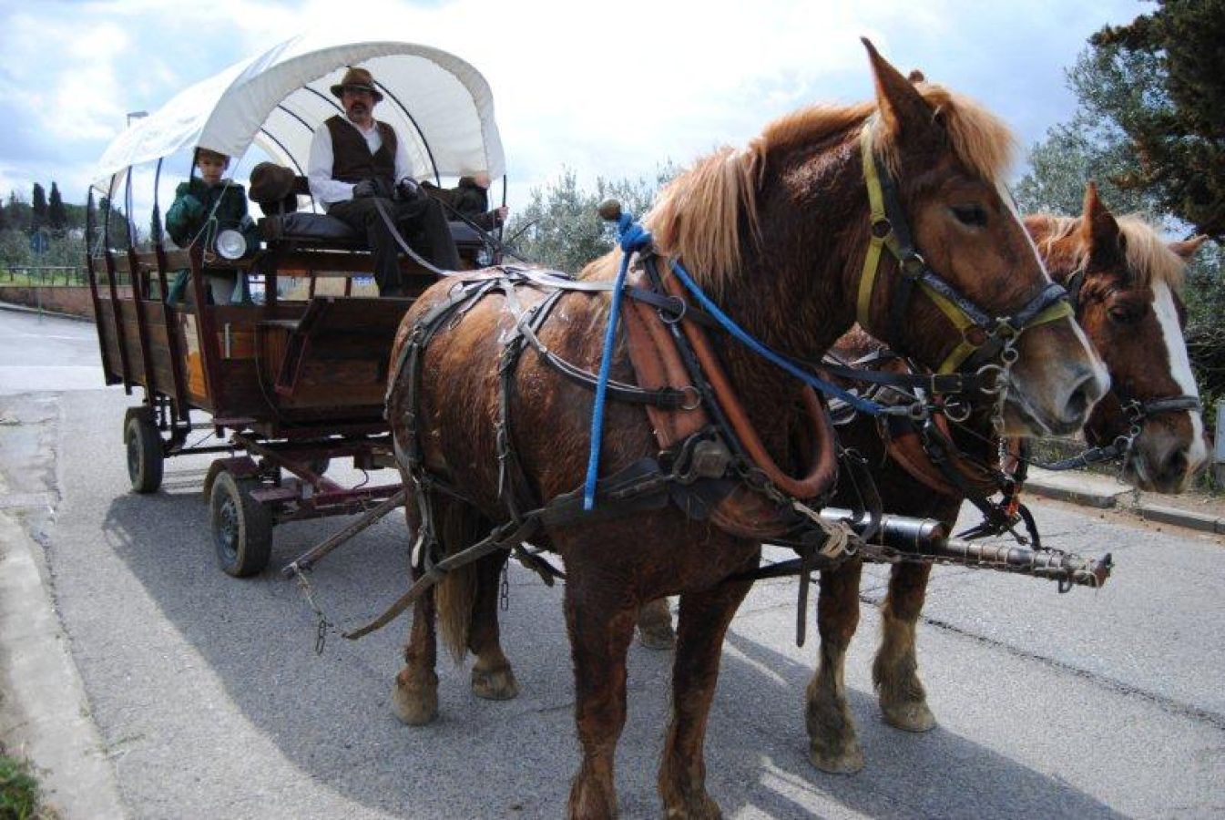 In carrozza nel Chianti