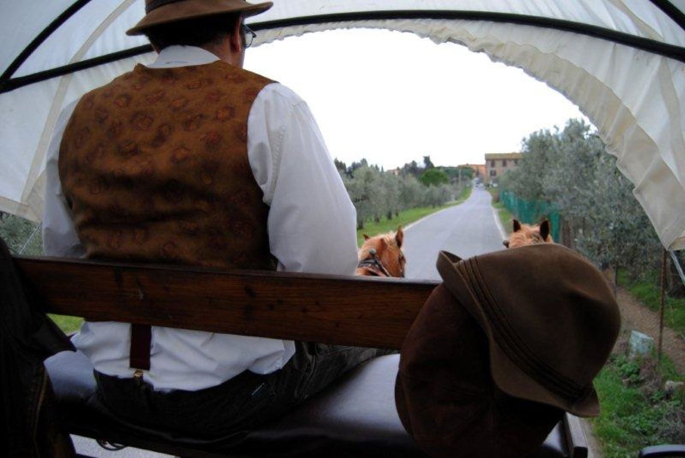 In carrozza nel Chianti