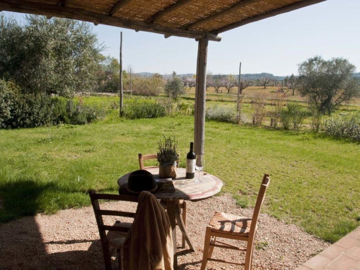 vista sulla campagna di Bolgheri all'esterno della Fattoria
