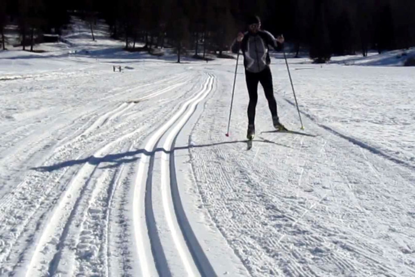 A Ronzone sono presenti oltre 10km di piste da sci di fondo