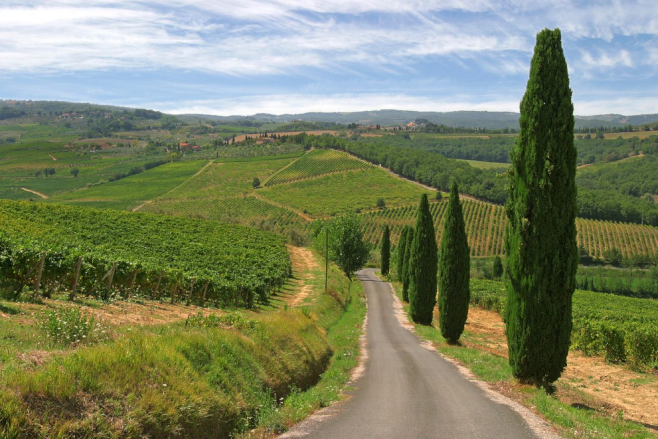 Il Chianti